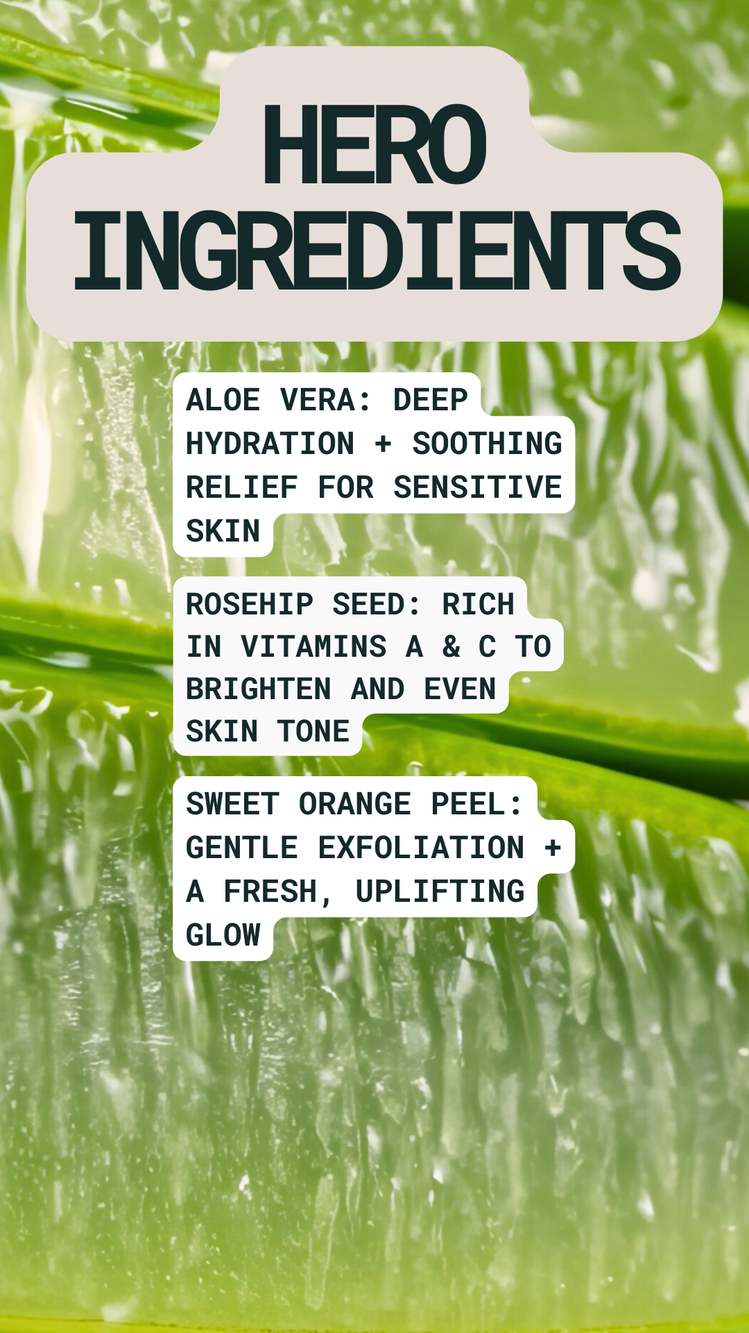 SAMPLE SIZE ALOE VERA FACE WASH (CLEANSER)